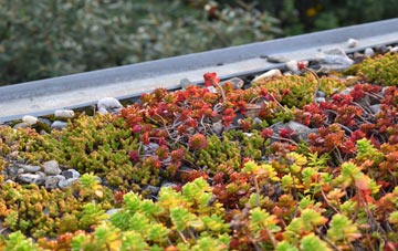 the cost of Carlton Husthwaite green roof installation