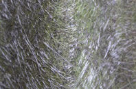 Carlton Husthwaite fibreglass roof work