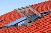 Carlton Husthwaite roof window